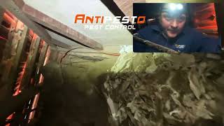 Perth Termite Exterminator Joondalup Pest Services