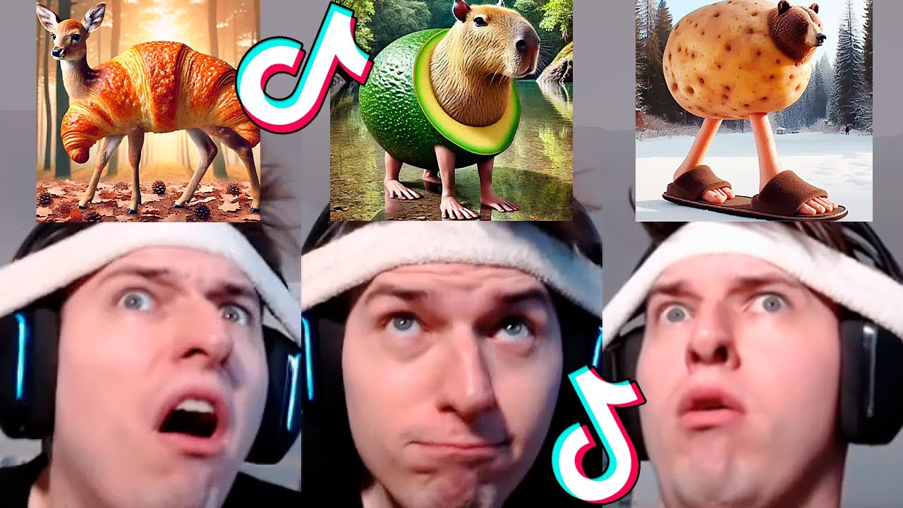 NEW Italian Brainrot Animals 😱 TikTok Compilation (Anatoxich) #18