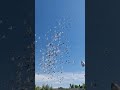 ШіЩ Ш Щ ШЄЫЊ Ш ШґЩ ШЁШ ШІЩ Ш рџ їрџ їрџ ї Ъ ШЁЩ ШЄШ ШЁЩ Щ ШЇЩѕШ Щ Ш ШІ Ъ ЩЃШЄШ ЩѕШ ШґЫЊ Ъ ШЁЩ ШЄШ ШЄЩ Ш Ш Щ Ъ ЩЃШЄШ ЩѕШ ШґЫЊ ШЄЫЊШ Щ Ш Щ ЫЊ Ъ ШЁЩ ШЄШ ШЁШ ШІШ Щ ШіЩ Ш Щ ШЄЫЊ Ш ШґЩ ШЁШ ШІЩ Ш рџ їрџ їрџ ї Ъ ШЁЩ ШЄШ ШЁЩ Щ ШЇЩѕШ Щ Ш ШІ Ъ ЩЃШЄШ ЩѕШ ШґЫЊ Ъ ШЁЩ ШЄШ ШЄЩ Ш Ш Щ Ъ ЩЃШЄШ ЩѕШ ШґЫЊ ШЄЫЊШ Щ Ш Щ ЫЊ Ъ ШЁЩ ШЄШ ШЁШ ШІШ Щ