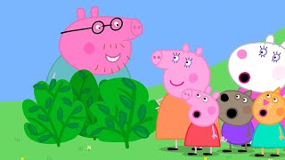 Daddy Pig Plays Hide and Seek   Peppa Pig and Friends Full Episodes