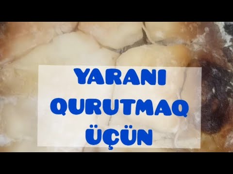 Video: Bir Itin Yarasını Necə Yaxşılaşdırmaq Olar