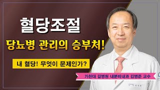 혈당조절 잘하는 방법 ✔ 당뇨병 궁금증 해결 / 가천대 길병원 내분비내과 김병준 교수