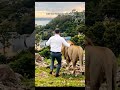 Joke - Why did the lion cross the road 🦁🤣