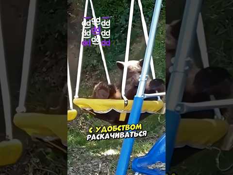 Первый день после спячки 🤣