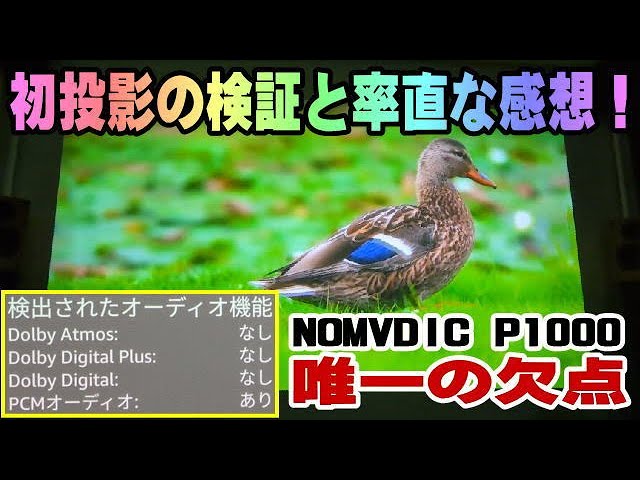 4万円の産業廃棄物プロジェクターを自腹購入してガチレビュー