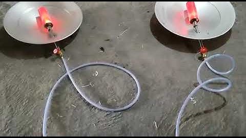 Zen Gas Brooder for poultry