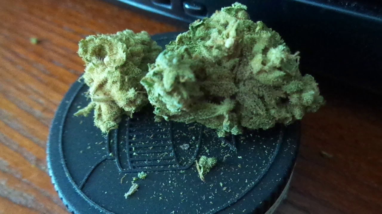 White Walker Kush