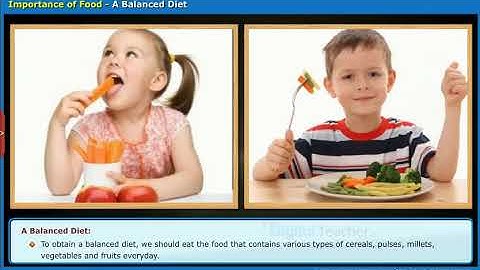 Nutritious Food, Class 5 EVS SSC | Digital Teacher