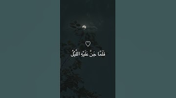 تلاوة مباركة #quran #قالب_قرآن #subscribe