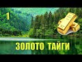 ПОЛУЧИЛ НАСЛЕДСТВО   СТАЛ МИЛЛИОНЕРОМ ОТНОШЕНИЯ В СЕМЬЕ РАЗВОД СЛУЧАЙ в ТАЙГЕ СУДЬБА СЕРИАЛ 1