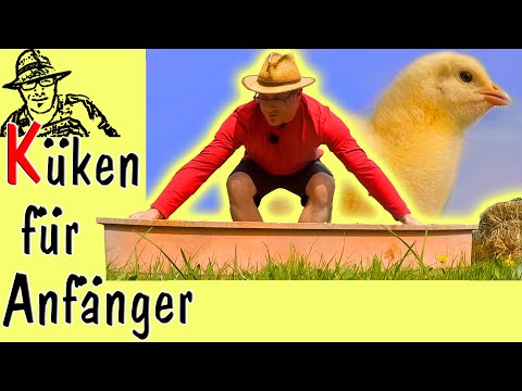 küken-selber-aufziehen-und-hühner-im-eigenen-garten---ideal-für-die-selbstversorgung