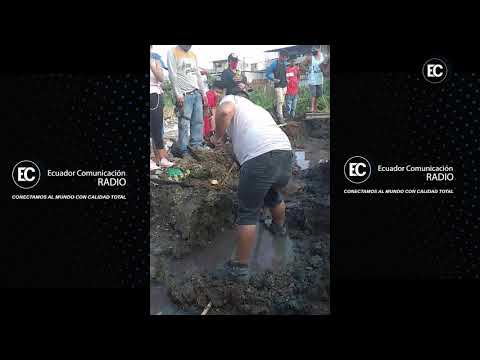 Autoridades escatan a tortugas y un caimán en chongón