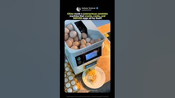 China’s Robot That Cooks & Serves Eggs! 🤖🍳