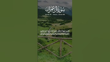 سوره آل عمران آیه 87 88 [تلاوت قرآن] #تلاوت #قرآن #قرآن #ترجمه #سوره