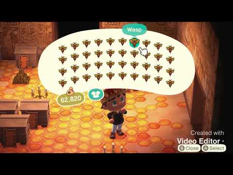 Wasp farm Animal Crossing New Horizons