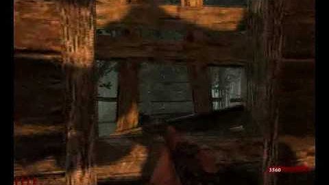 Call Of Duty World At War - Shi No Numa Gameplay on PC!