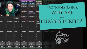 Pro Tools Basics: Why is My Plugin PURPLE?