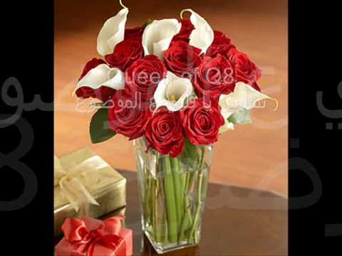 Queen of Q8.wmv