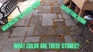 Making The Old Look NEW!! Large Paver Patio Pressure Washed #pressurewashing, #satisfying, #asmr,