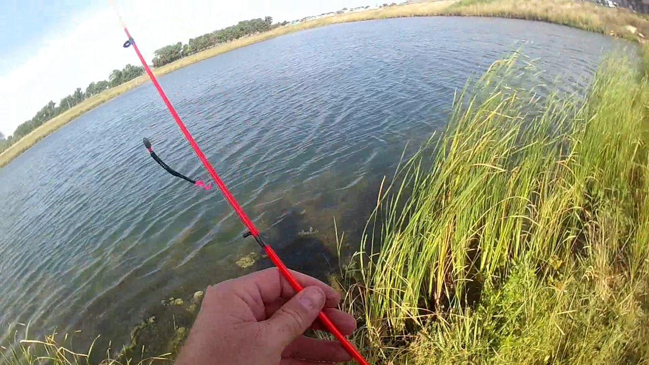 durango fishing pole