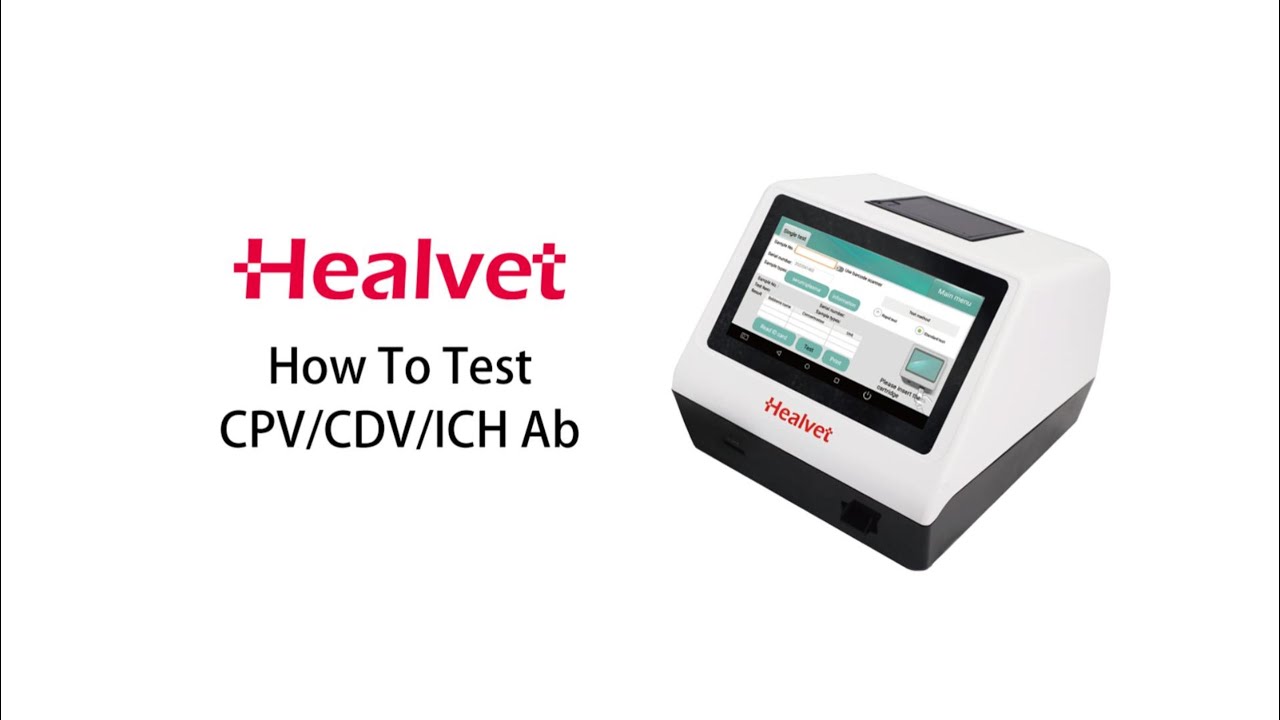 【CDV/CPV/ICH Ab】How to use Healvet Immunofluorescence Analyzer to test ...