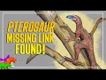 New pterosaur missing link found in triassic brazil  venetoraptor