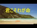 君こそわが命(坂本冬美ver.)  /  歌唱 yass