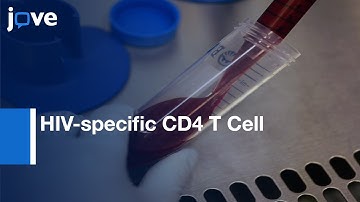 HIV-specific CD4 T Cell Effector Function Evaluation | Protocol Preview