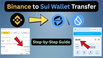 Binance to Sui Wallet Transfer Guide | Binance to Slush Wallet Funds Transfer