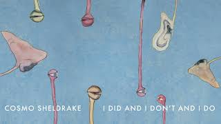 Video thumbnail of "Cosmo Sheldrake - I Did And I Don’t And I Do"
