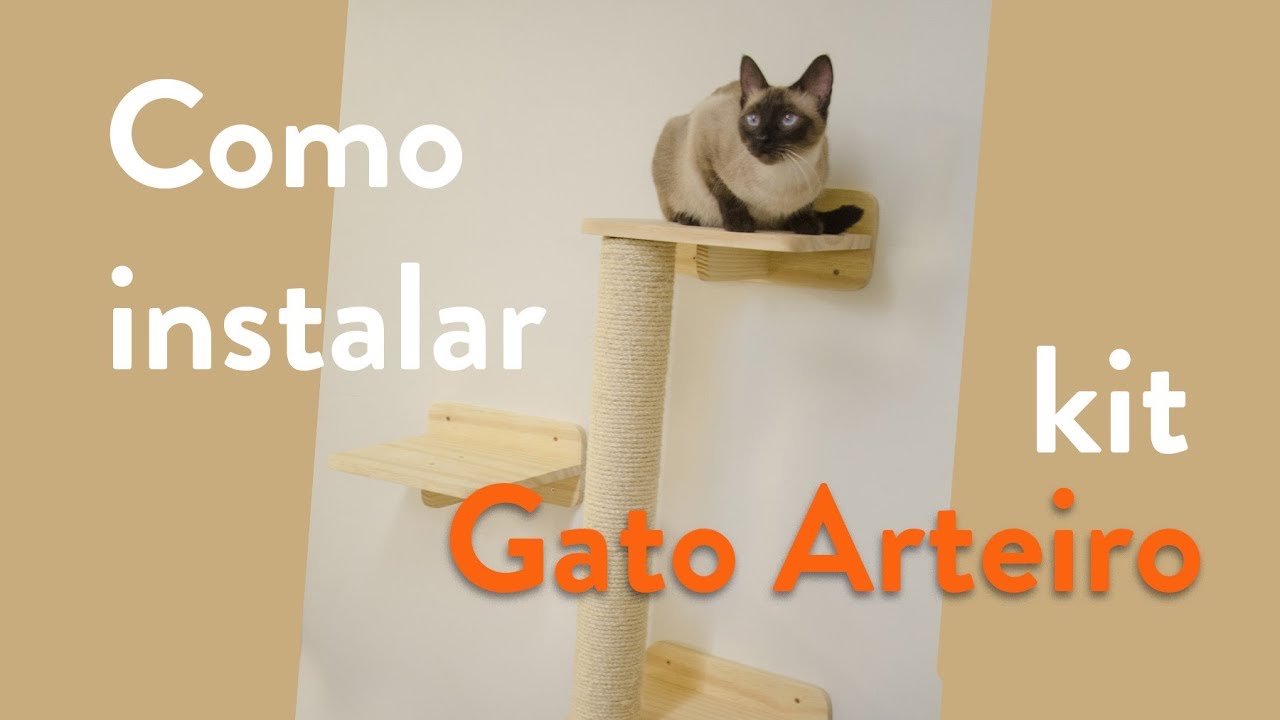 Kit Gato Aventureiro - O Fazedor