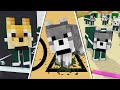 WOLF LIFE SEASON 4 | SQUID GAME | Cubic Minecraft Animations | All Episodes