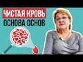 Чистая кровь 🩸 основа основ | Как вывести из крови все ненужное