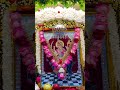 # Jay ma meldi # Meldi of Sarkar 90 # trending # new storys # vaira video # ramel video # new trend