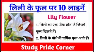 10 Lines on Lily Flower | 10 Lines on Lily in Hindi | लिली के फूल पर 10 हिन्दी लाइनें