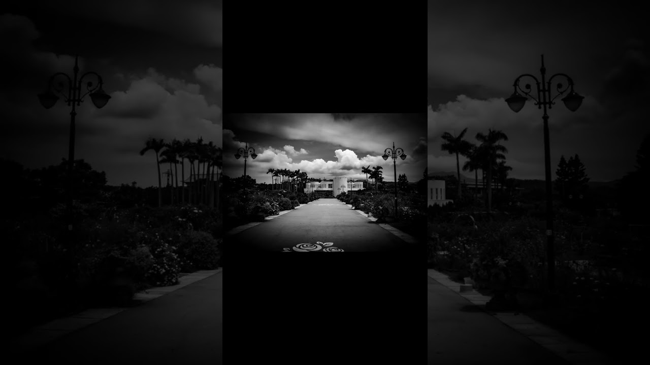 Beyond Color: The Elegance of B&W with Sony A200