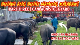 BINAWI ANG BINILI NAMING KALABAW | PART THREE: CANLAON | SOLLE'S GANDANG BUHAY