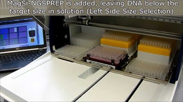 MagSi-NGSPREP - NGS Library Preparation and Size Selection on a Gilson PIPETMAX
