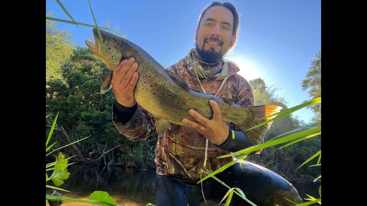 TEMPORADA DE PESCA 2025-26  JORNADA CON GRANDES CAPTURAS 