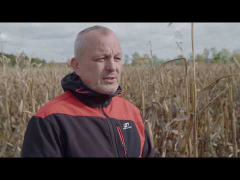 Video: Pěstování Zeleniny Bez Kopání Půdy - Ekologické Zemědělství