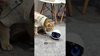Ada robot yang bisa jadi temen anabul! 🙀 Senangnya bisa cobain langsung Enabot di JIPS 2026 ❤️