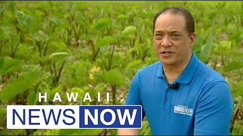 Generations before us, where did information about anything come from? Our Kupuna