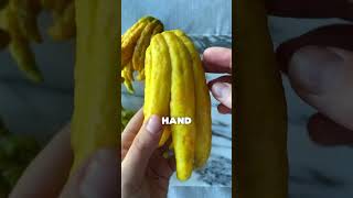 “Top 5 Fruits That Shouldn’t Exist 😳”#rarefruits  #foodfacts  #didyouknow  #shorts  #viral #fyp