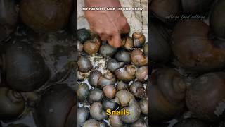 Ricefield Snails Cleaning &amp; Cooking