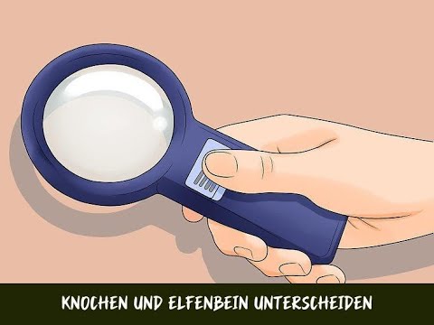 Video: Welche Stoßzähne bestehen aus Knochen?