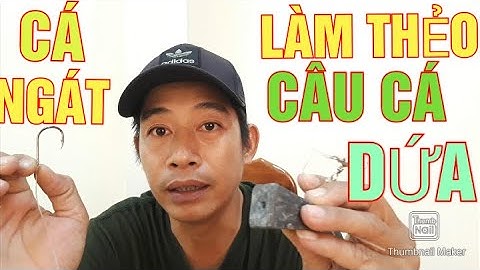 HƯỚNG DẪN CÁCH TÓM THẺO CÂU CÁ DỨA @giangngofising