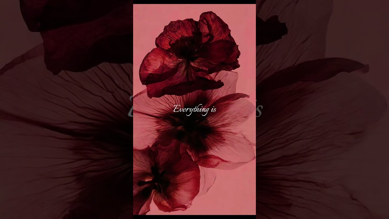 Fall in love… (everything is romantic)  