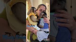 Şirin Maymun Konuşması