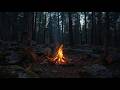 🔥 Cozy Campfire Night in the Woods | 2 Hours Fire Crackling Sounds