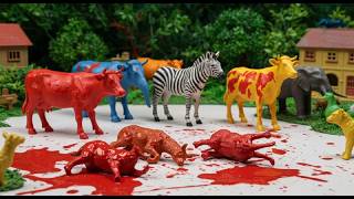 Wadidau..‼️ Simulasi Potong Sapi Kurban &amp; Proses Cesar Sapi Lucu Bareng Gajah &amp; Buaya! -126